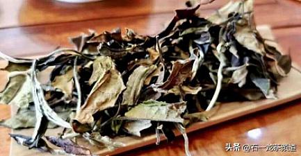 "Yunnan white tea" is a copy and imitation