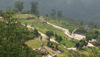 Tea market new pattern: Top-tier tea from famous mountains becomes luxury! Most mountain teas are sure to go down in price.