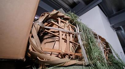 The old tea shop owner's secret: After drinking too much tea, he said that the biggest pitfall of playing with tea is becoming a person who sells tea.