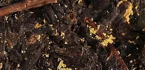 What are the differences and similarities between "Golden Flower" tea and "White Frost" tea?