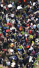 中華人民共和国の茶業は、多く、少数、散在的で価格が安いという状態にあるのか？