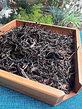 心路的旅程从一杯普洱茶开始