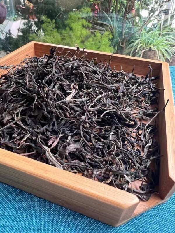 心路的旅程从一杯普洱茶开始