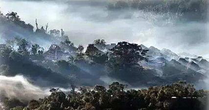 如何选择普洱茶的山头茶？（普洱茶山头茶的特征）