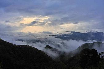 Yunnan Pu Er Tea, ancient tree tea of Qiu Bong Dong.