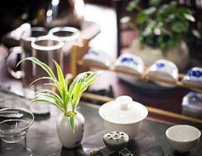 老徐带你追溯金融普洱茶的前世今生（一）