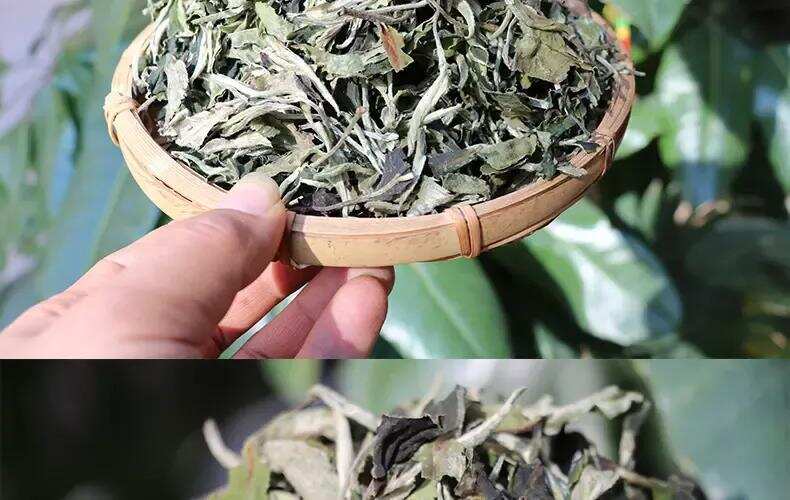 ¿Qué son las flores de luna de Yunnan Blanco (Té blanco)?
