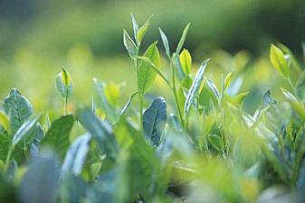 Год отгадал всё, выпил всю жизнь, выпил человеческую чумазость, выпил человеческую жизнь.